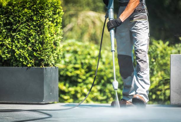 Best House Exterior Washing  in Port St Joe, FL
